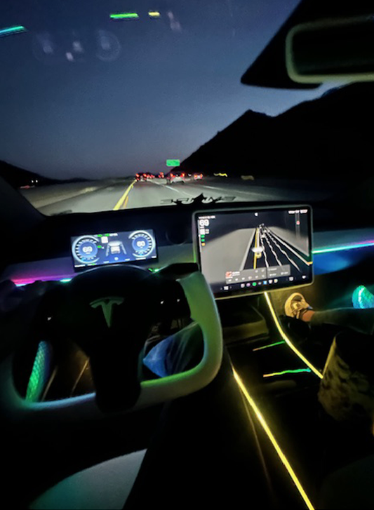 2016-2020 Model 3 and Y Ambient Lights