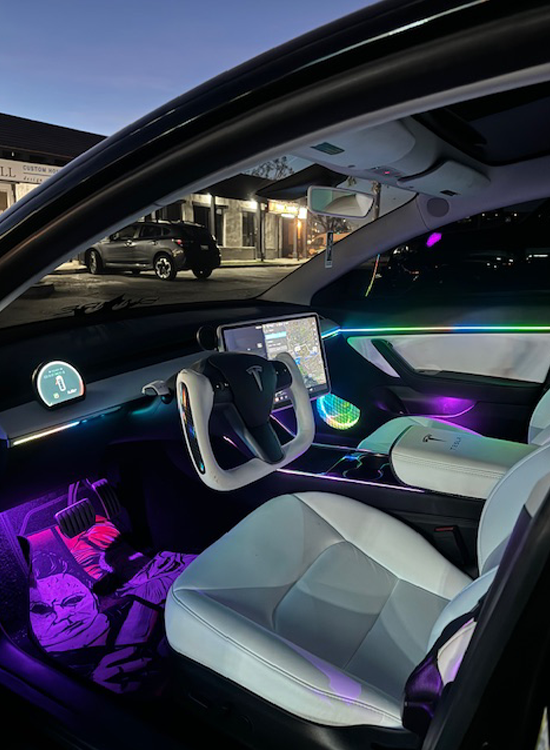 2016-2020 Model 3 and Y Ambient Lights