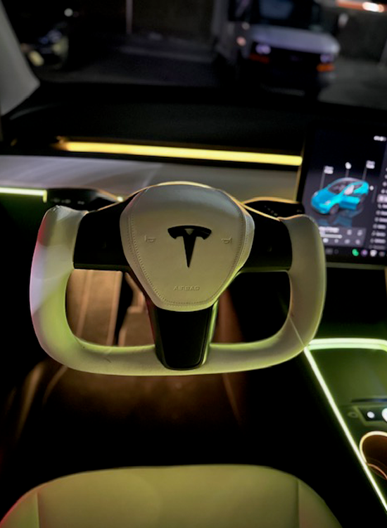 2021-2023 Tesla Model Y and 3 Ambient Lights